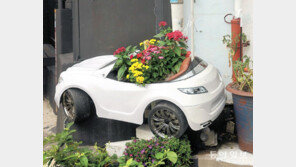 [고양이 눈]화분이 된 꼬마차