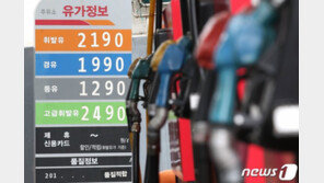 휘발유값 11주 연속 상승…서울은 1700원 넘었다
