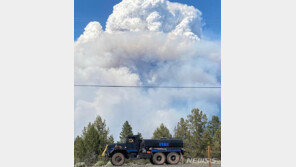 美서부 휩쓴 대형 산불로 ‘불구름’ 등장…10㎞까지 솟아
