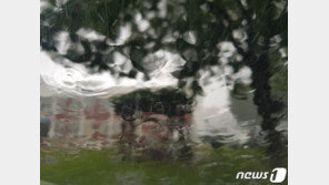 [날씨]일요일 ‘찜통더위’ 이어지고 최대 80㎜ 비소식도