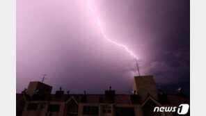 창고·분전반에 ‘우르르 쾅’…제주서 낙뢰 추정 화재 잇따라