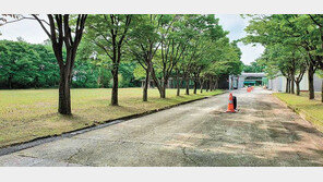 비정상세포 공격하고 면역력은 강화… 생약 인증받은 광물 ‘운모’