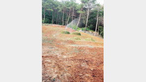 풍수지리학 연구-계승 온힘… 아낌없는 조언-컨설팅 제공