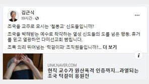 김근식 “조국을 교주로 모시는 ‘철봉교’ 신도?”