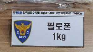 일반의약품으로 필로폰 1kg 만든 30대 “교도소 동료에게 배웠다”
