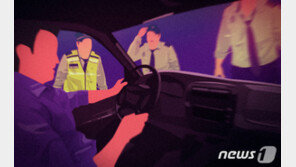 음주 단속 중인 경찰 치고 달아난 30대…2심도 징역 3년