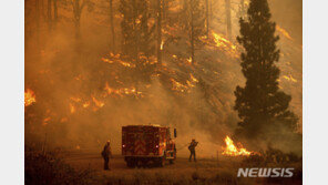 화마가 삼킨 美·캐나다…폭염·가뭄에 걷잡을 수없이 번져