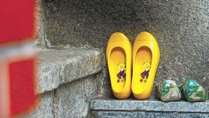 [고양이 눈]노란 고무신