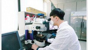 특허받은 ‘김치 프로바이오틱스’ 비타민B2 생성 능력 탁월