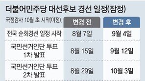 與 “경선 5주 미뤄 10월 10일 후보 선출”… 네거티브 공방 심화 우려도 