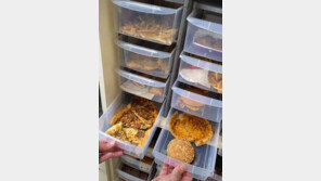 “아직도 맛있나요?” 2년째 보관 중인 햄버거 공개한 여성