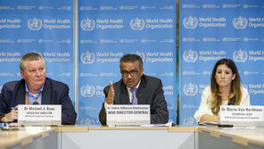 WHO 전망 “내년 코로나 극복, 정말 운 좋아야 가능”