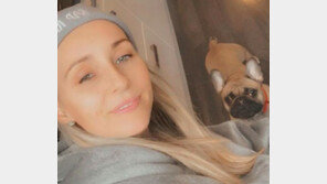 “폭염 속 산책시켰다가…” 열사병으로 반려견 떠나보낸 견주