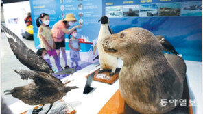 “더위야 물러가라” 극지체험전 개최