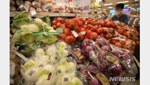 6월 생산자물가지수 역대 최고…원자재 급등 여파