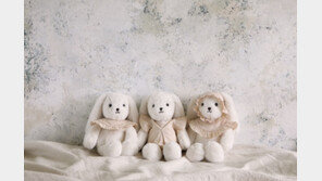 로코유, 애착인형 ‘로라비’ 출시…“전 공정 국내 공장서 진행”