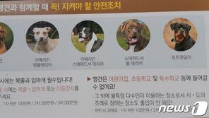‘진돗개는 착용 안해도 되는데’…반려견 입마개 안했다고 견주 폭행