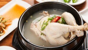 복날 ‘보양식’의 불편한 진실…비윤리적인 도살 방식 문제 제기