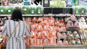 생산자물가지수 8개월째 오르며 사상최고