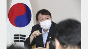 반격 나선 윤석열측 “X파일, 돈 노린 소송꾼의 일방 주장”