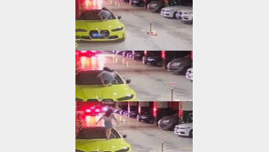 외제차 앞유리 깨고 낙서한 中초등생…父 “난 배상못해” (영상)