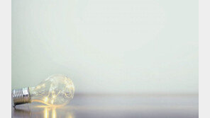 경제위기 속 한계 극복… ‘혁신’에서 답을 찾다