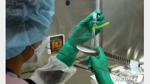 AZ·화이자 백신 교차접종 40대 돌봄종사자 의식불명