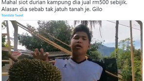 “내차 박살 낸 두리안 14만원에 팝니다” 농담 글에…장관이 전화