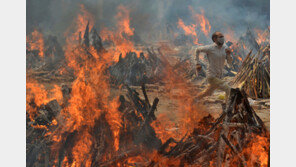 인도 ‘검은 곰팡이증’ 급속 확산… 4300명 사망