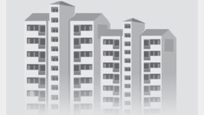 한국에서 집값 주가 올라도 돈 안 쓴다