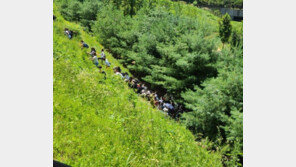 차벽에 막히자…민노총, 언덕 타고넘어 집회 장소로