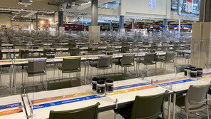 안전하다더니…日후쿠시마 벌꿀서 기준치 초과 세슘 검출