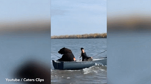 ‘정글북 실사판’…불곰과 러시아 여성의 우정 (영상)