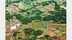 농촌을 농촌답게… 난개발 막고 공간기능 재생