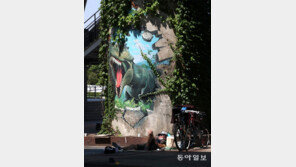 [고양이 눈]그늘이 필요해