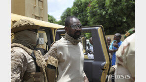 아프리카 말리 대통령 암살 용의자, 구속 중 사망