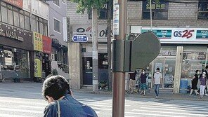 [고양이 눈]꿀맛 같은 휴식