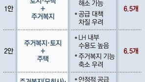 정부 ‘LH, 지주사 체제 개편案’ 유력 검토