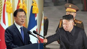 “남북, 정상회담 협의 중” 외신 보도에…靑 “사실 아냐”