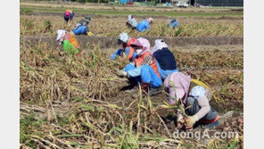 농협, 농업인에 6조원 영농자금 대출금리 1%대 인하