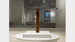 1323년 목간- 돼지머리뼈-청자매병… 신안앞바다 800년전 고려유물 한눈에