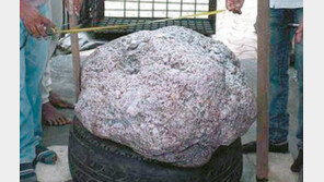 우물 파다… 510kg 세계 최대 사파이어 원석 발견
