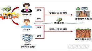 ‘엄마 찬스’ 20대, 신도시 땅 수십억 투기…국세청 적발