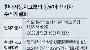 현대차그룹-LG엔솔, 印尼에 배터리셀 합작공장 