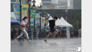 [날씨]주말 비 내려도 폭염기세 못 꺽어…35도 찜통 계속