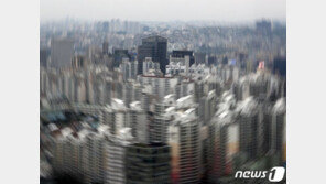 2030 서울 중저가 아파트 찾기 ‘혈안’…패닉바잉 재점화 조짐