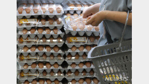 1년 새 57% 치솟은 달걀값…공정위 “담합 말라” 경고장
