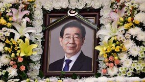 박원순 측 변호사 “진중권, 사자명예훼손 혐의로 고소 결정”