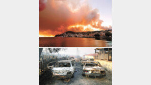 터키 이어 그리스도 대형 산불 번져… 아테네 북부지역 피해