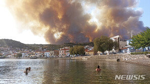 그리스 산불, 올림픽 발상지까지 접근…배 타고 대피 소동도